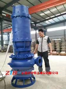 ZJQ200-15-22潜水渣浆泵