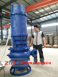 ZJQ潜水渣浆泵清沙泵