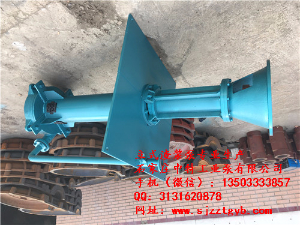 100ZJ-I-A33耐腐蚀立式渣浆泵