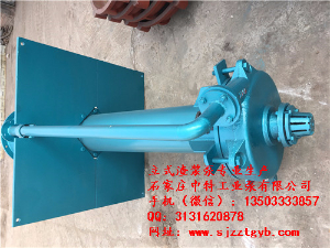 65ZJL-30立式渣浆泵